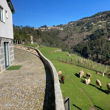 Quinta De Varzielas - Agroturismo Castelo de Paiva Luaran gambar