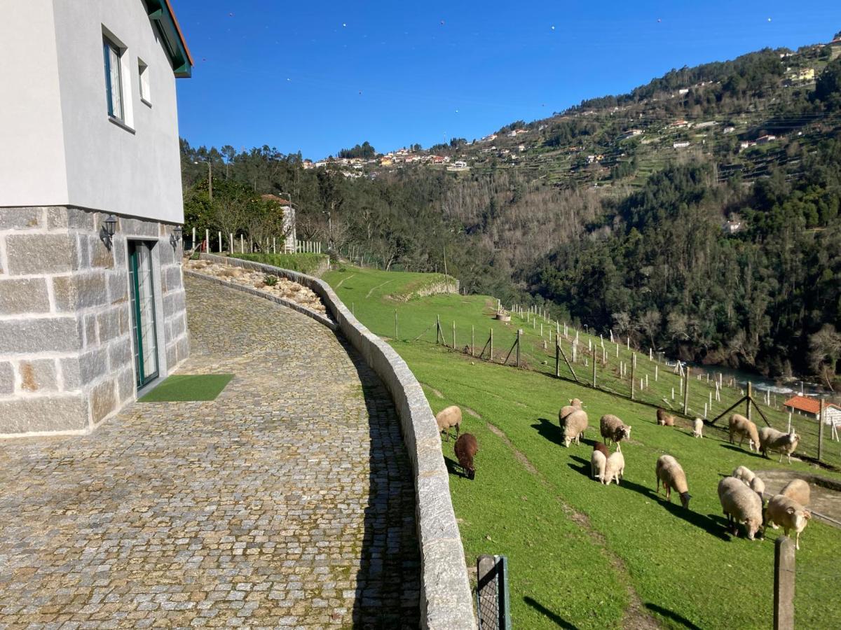 Quinta De Varzielas - Agroturismo Castelo de Paiva Luaran gambar