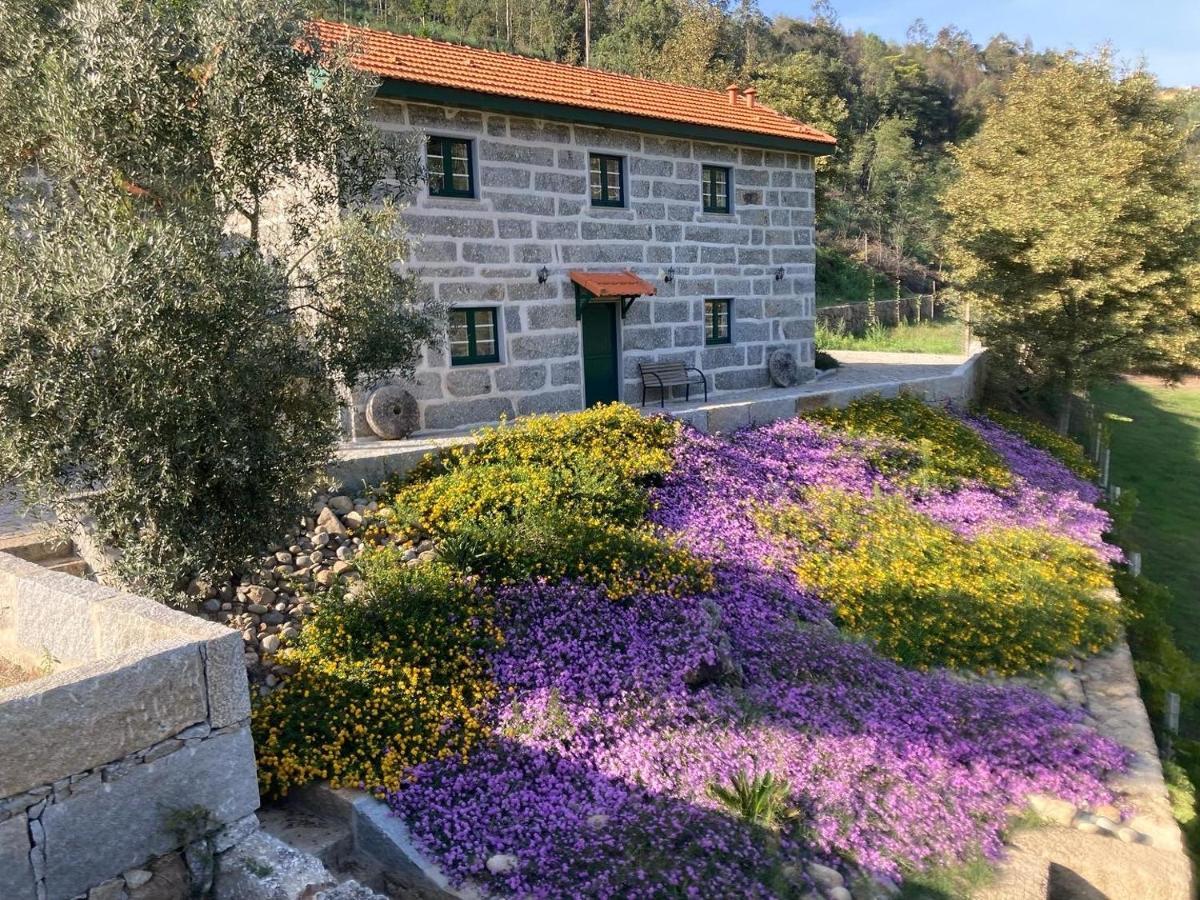 Quinta De Varzielas - Agroturismo Castelo de Paiva Luaran gambar